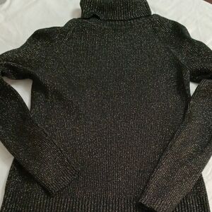 Women's Metallic Ribbed Turtle Neck
